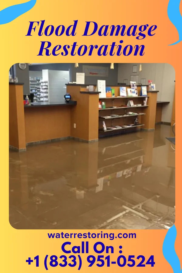 Flood Damage Restoration in Dellview, NC
