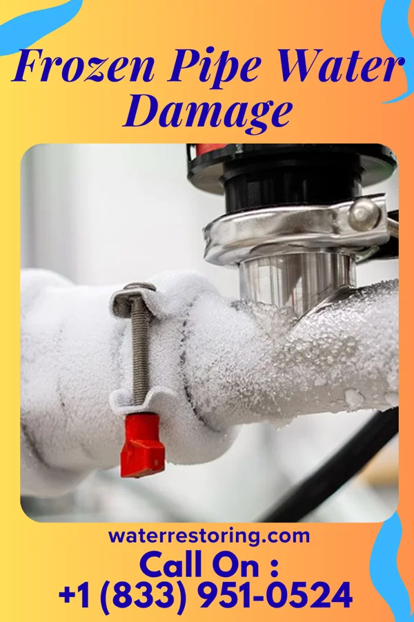 Frozen Pipe Water Damage in Dellview, NC