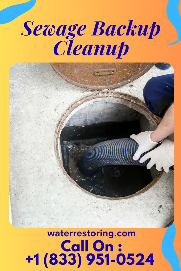 Sewage Backup Cleanup in Dellview, NC